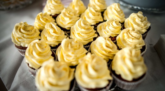 Cupcakes Cupcakes