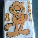 Dort Garfield 2