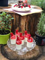 Minidezert panna cotta