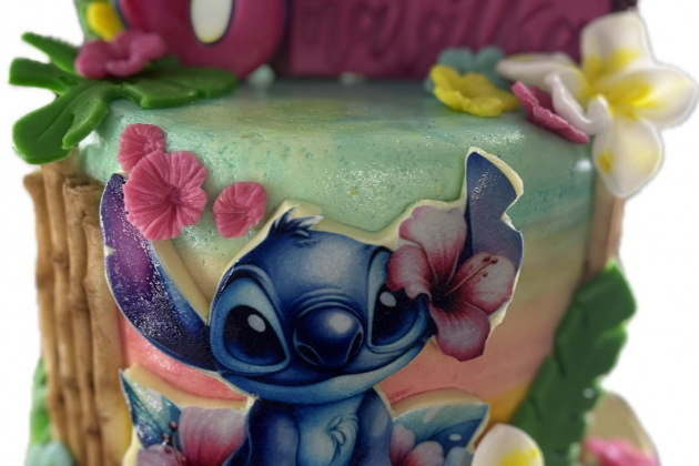 Dort dětský STITCH