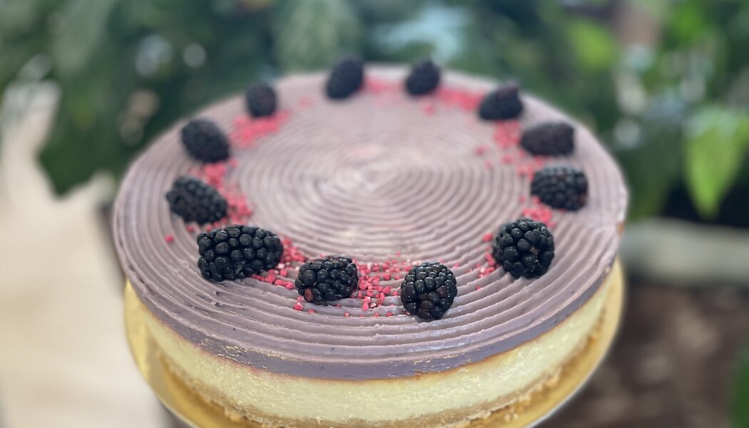 Cheesecake ostružina