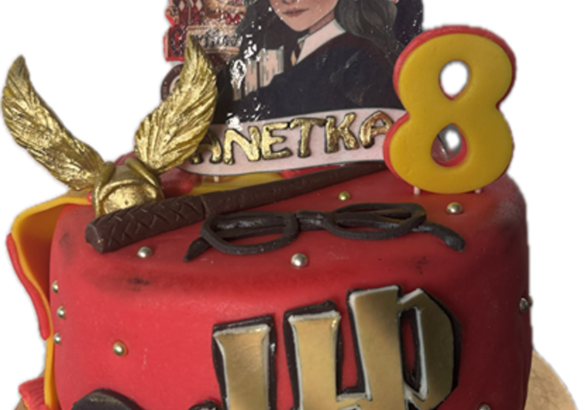 IMG_5401.PNG