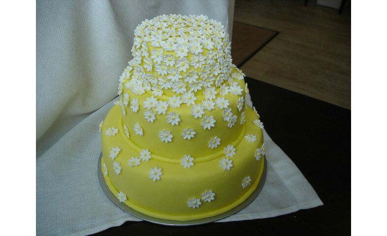 Svatební žlutý se sedmikráskami Svatební žlutý se sedmikráskami