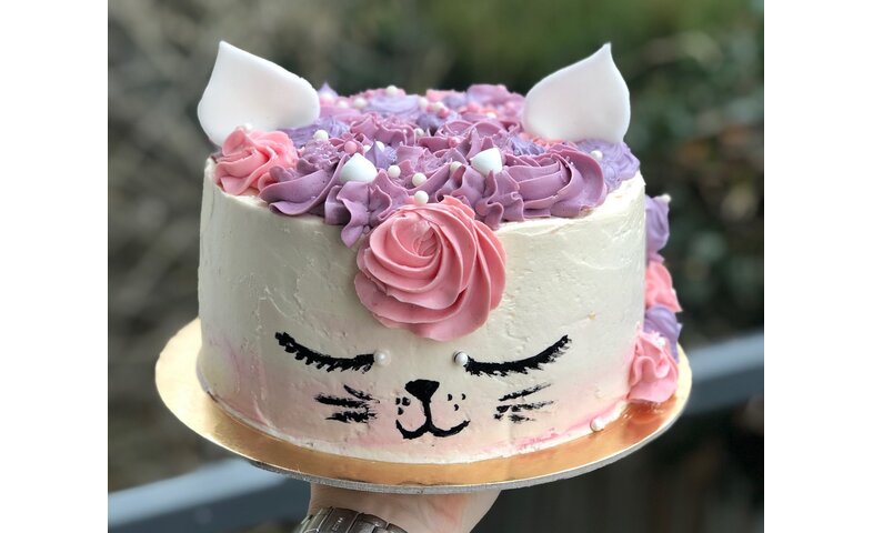 Dort kočka Dort kočka