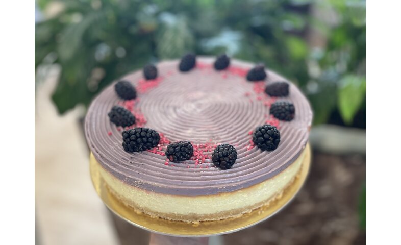 Cheesecake ostružina