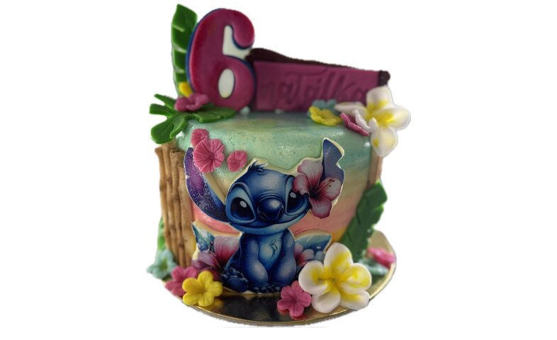 Dort dětský STITCH