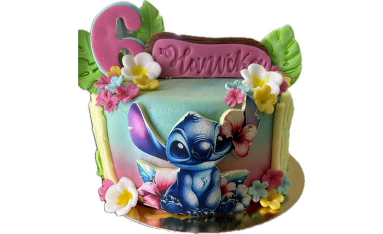 Dort dětský STITCH