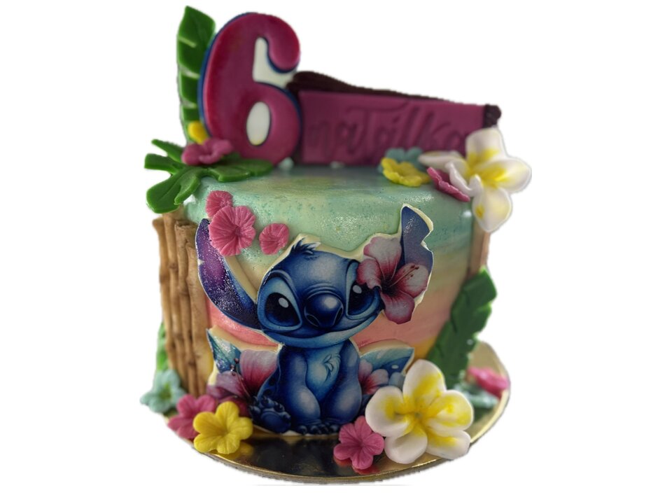 Dort dětský STITCH